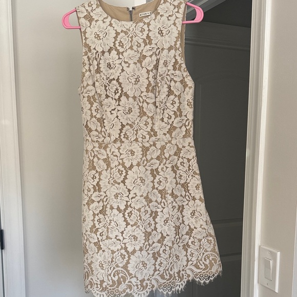 Alice + Olivia Dresses & Skirts - Alice Olivia Lace Cream White Dress 4